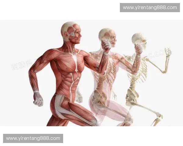 构建以伤情管理为核心的运动康复全流程体系化综合优化策略的研究