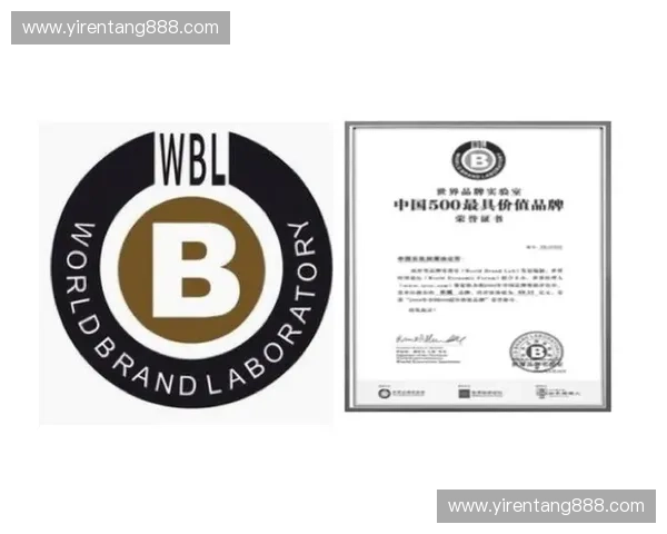 体育品牌创新营销策略研究及其在提升用户参与度中的应用探索