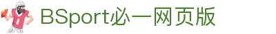 必一(运动科技有限公司)官方网站-B·Sport